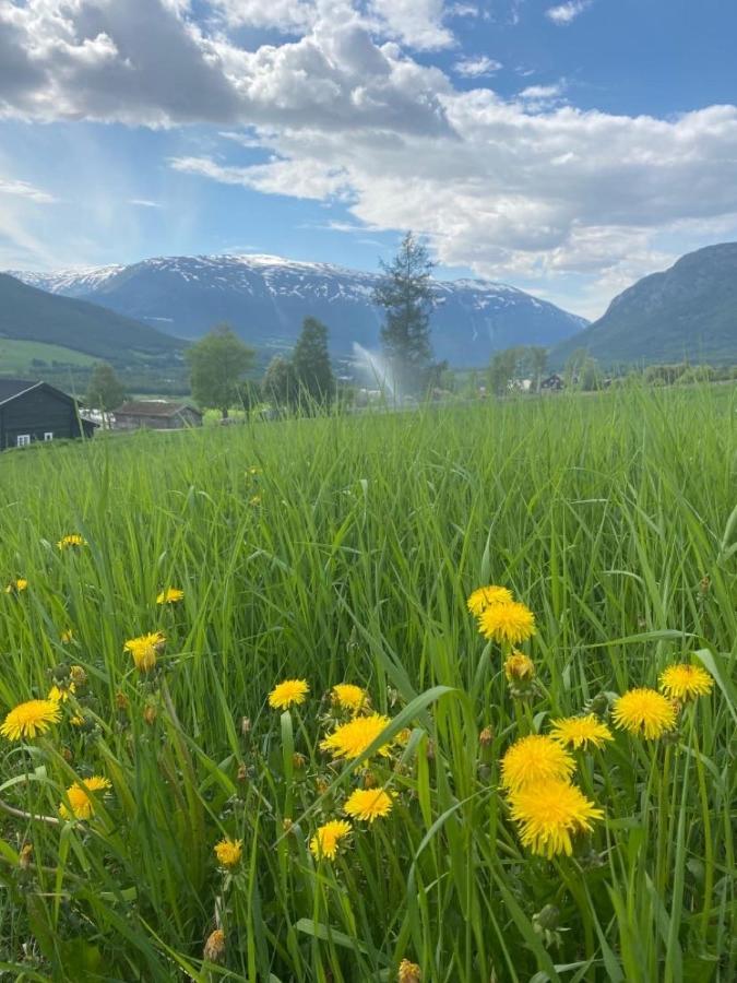 Stort Og Autentisk Hus I Skjak - Kort Vei Til Lom! المظهر الخارجي الصورة